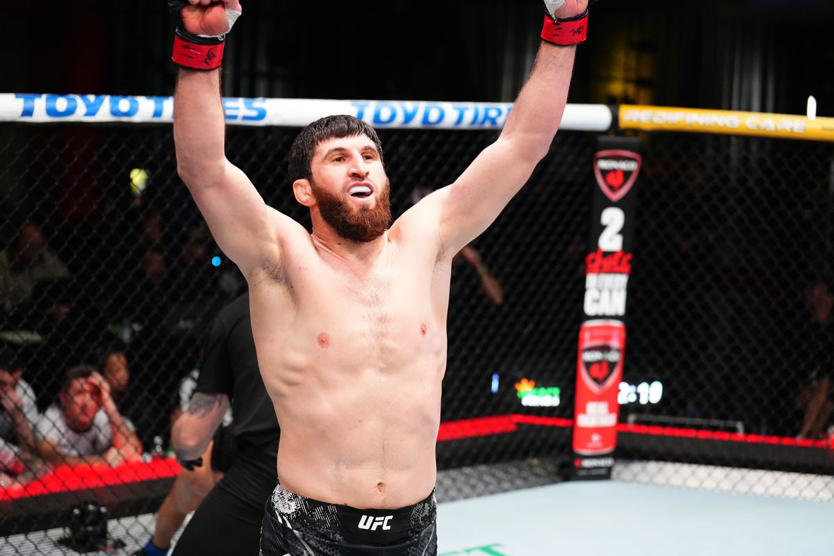 UFC Fight Night: Ankalaev v Walker 2